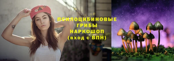 скорость Приозерск