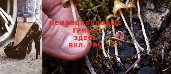 скорость Приозерск